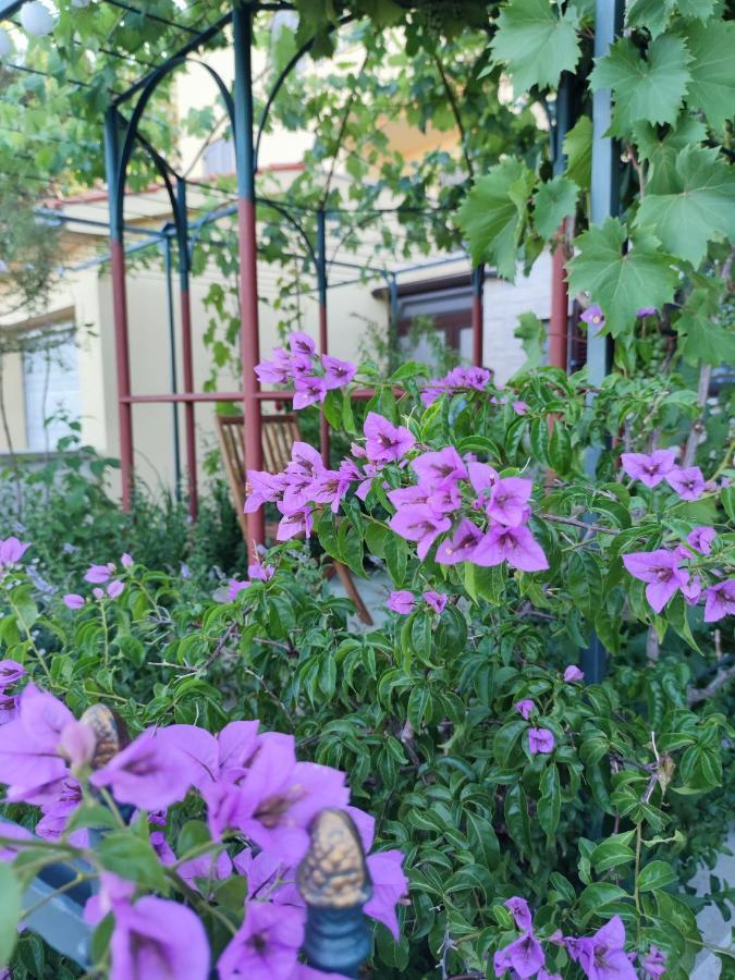 פרמנטורה Summer Time מראה חיצוני תמונה
