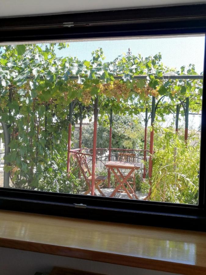 פרמנטורה Summer Time מראה חיצוני תמונה